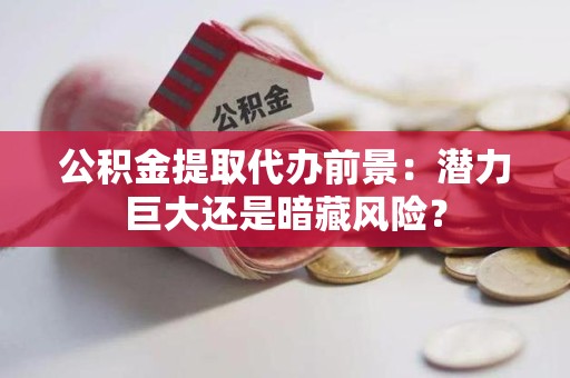 东湖公积金提取代办前景：潜力巨大还是暗藏风险？