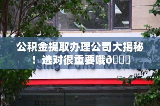 东湖公积金提取办理公司大揭秘！选对很重要哦😎