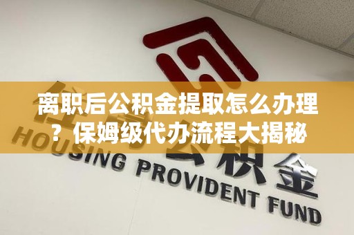 东湖离职后公积金提取怎么办理?保姆级代办流程大揭秘 东湖离职后公积金提取怎么办理?保姆级代办流程大揭秘