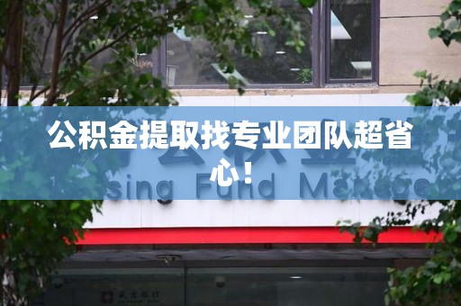 东湖公积金提取找专业团队超省心！