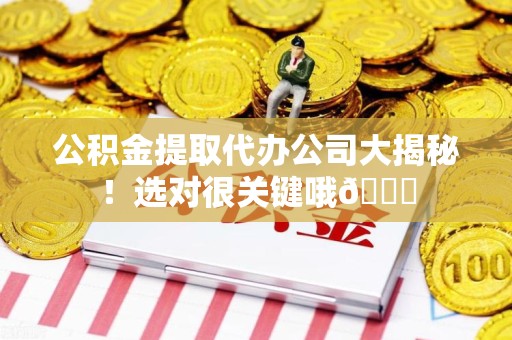 东湖公积金提取代办公司大揭秘！选对很关键哦😎