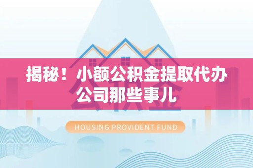 东湖揭秘！小额公积金提取代办公司那些事儿