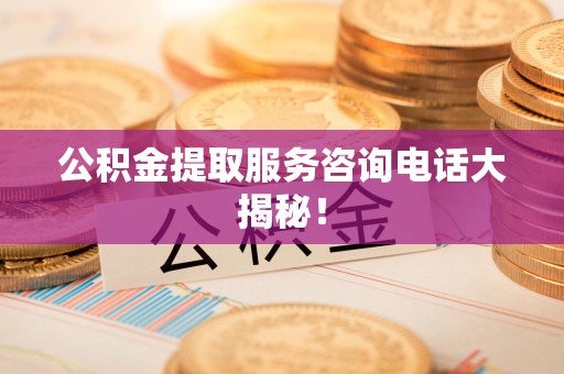 东湖公积金提取服务咨询电话大揭秘！